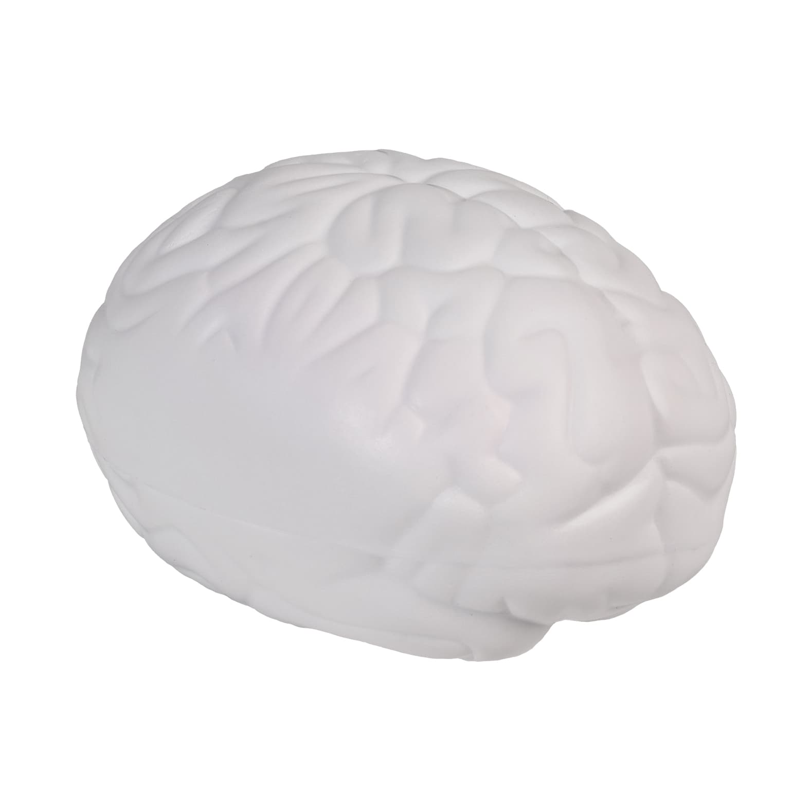 Squishy Cerebro