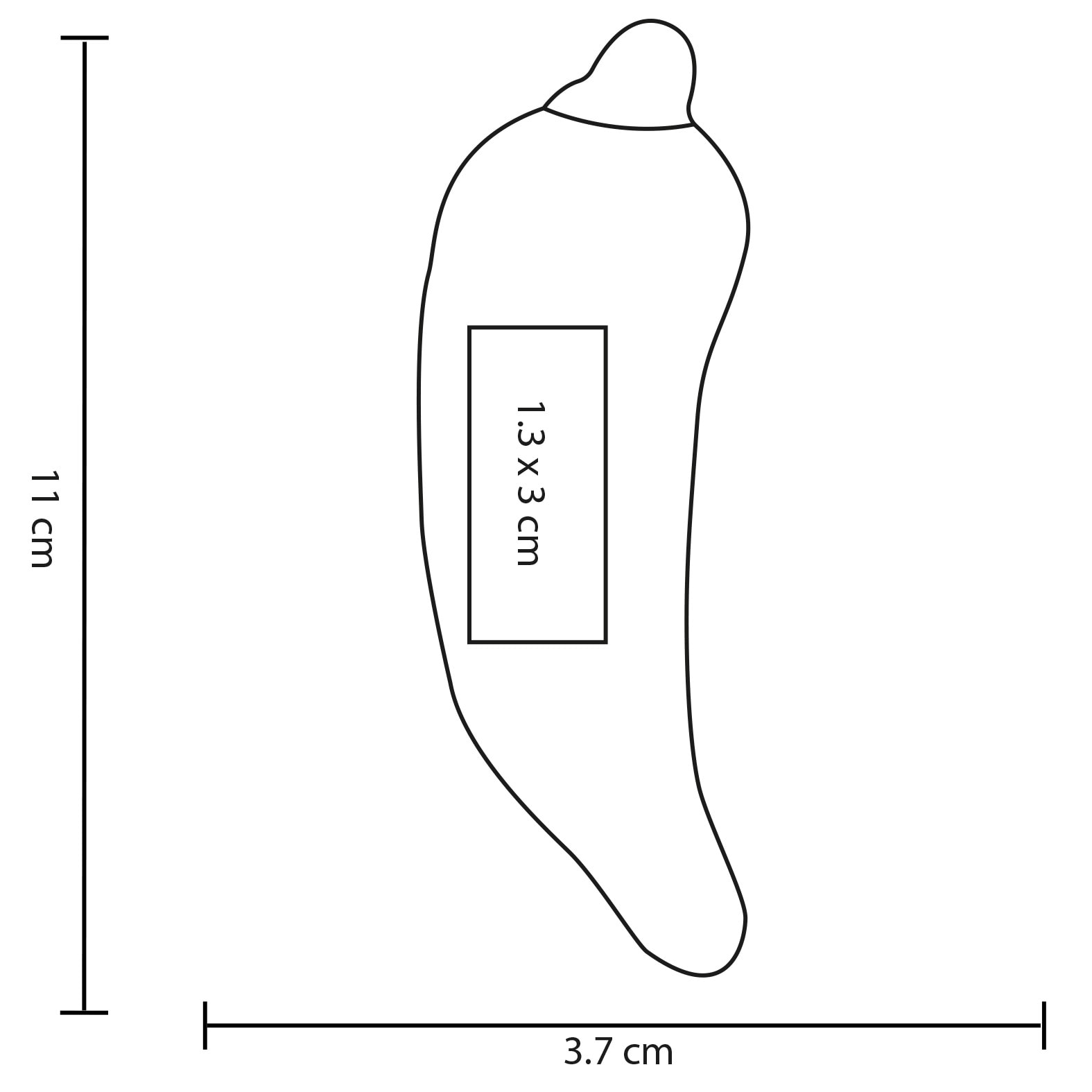 Plantilla con medidas y área de impresión de Squishy Chilli