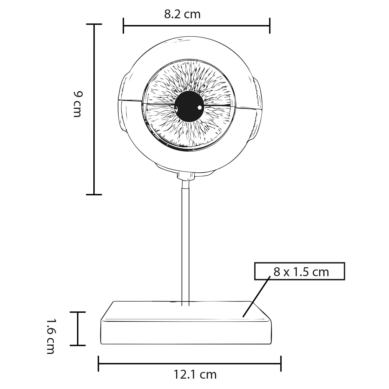 Plantilla con medidas y área de impresión de Modelo Anatómico de Ojo Oftalmo