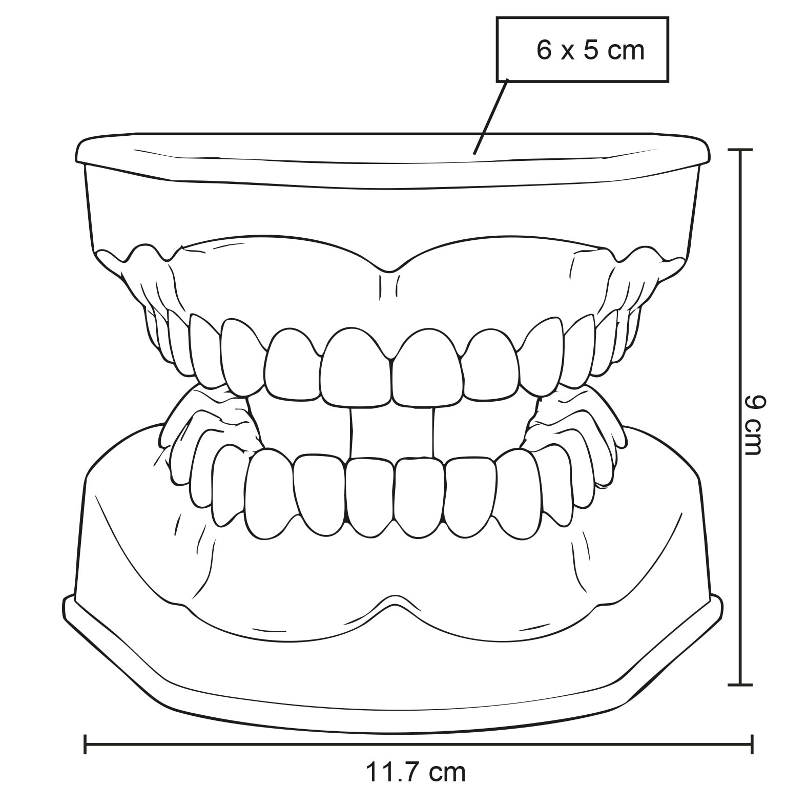 Plantilla con medidas y área de impresión de Odonto