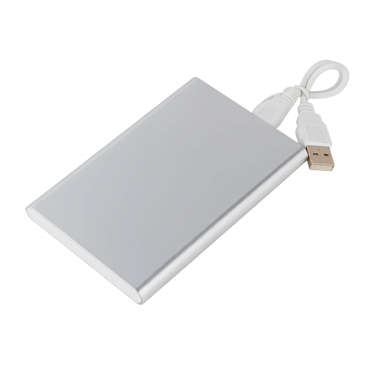Power Bank Lower en color plata