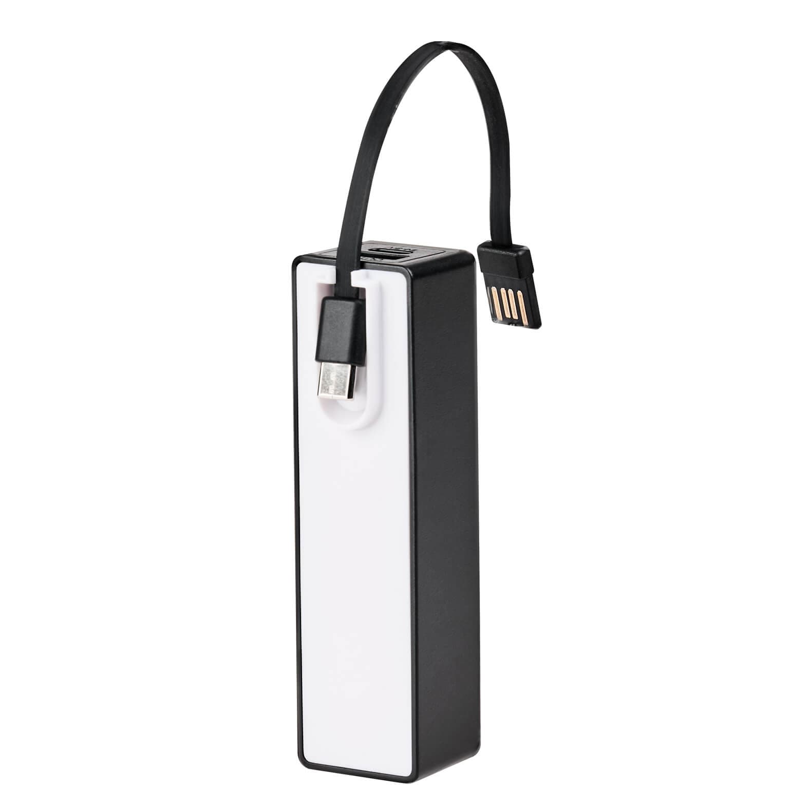 Power Bank Voor